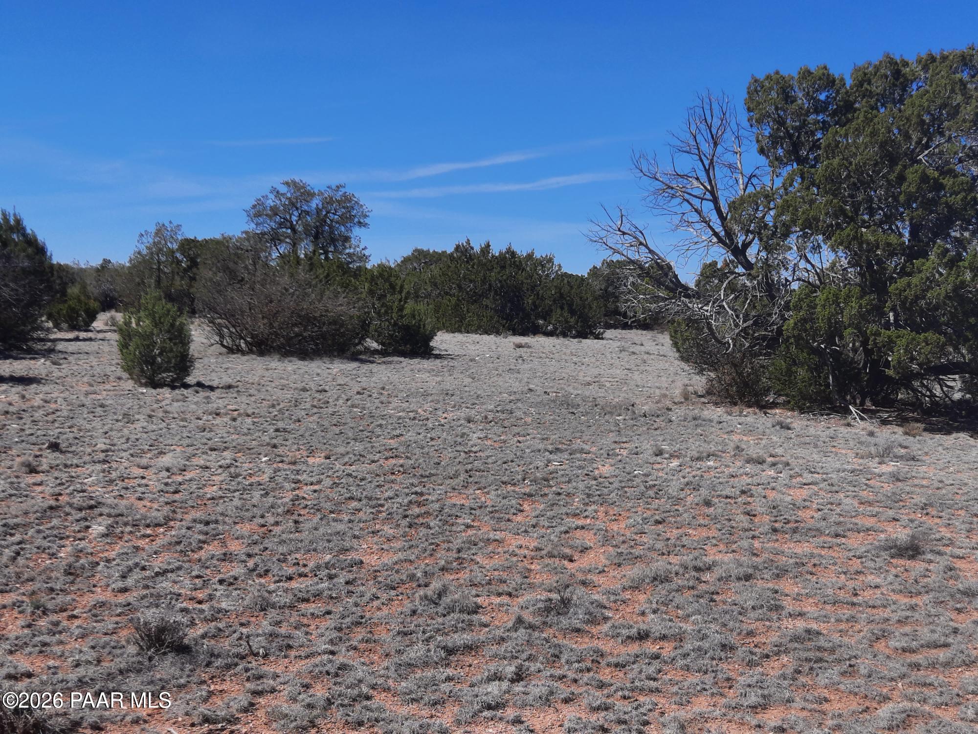 Lot 265 North Rocky Top Road Seligman, AZ 86337 - Photo 5 of 14 20260317_122206