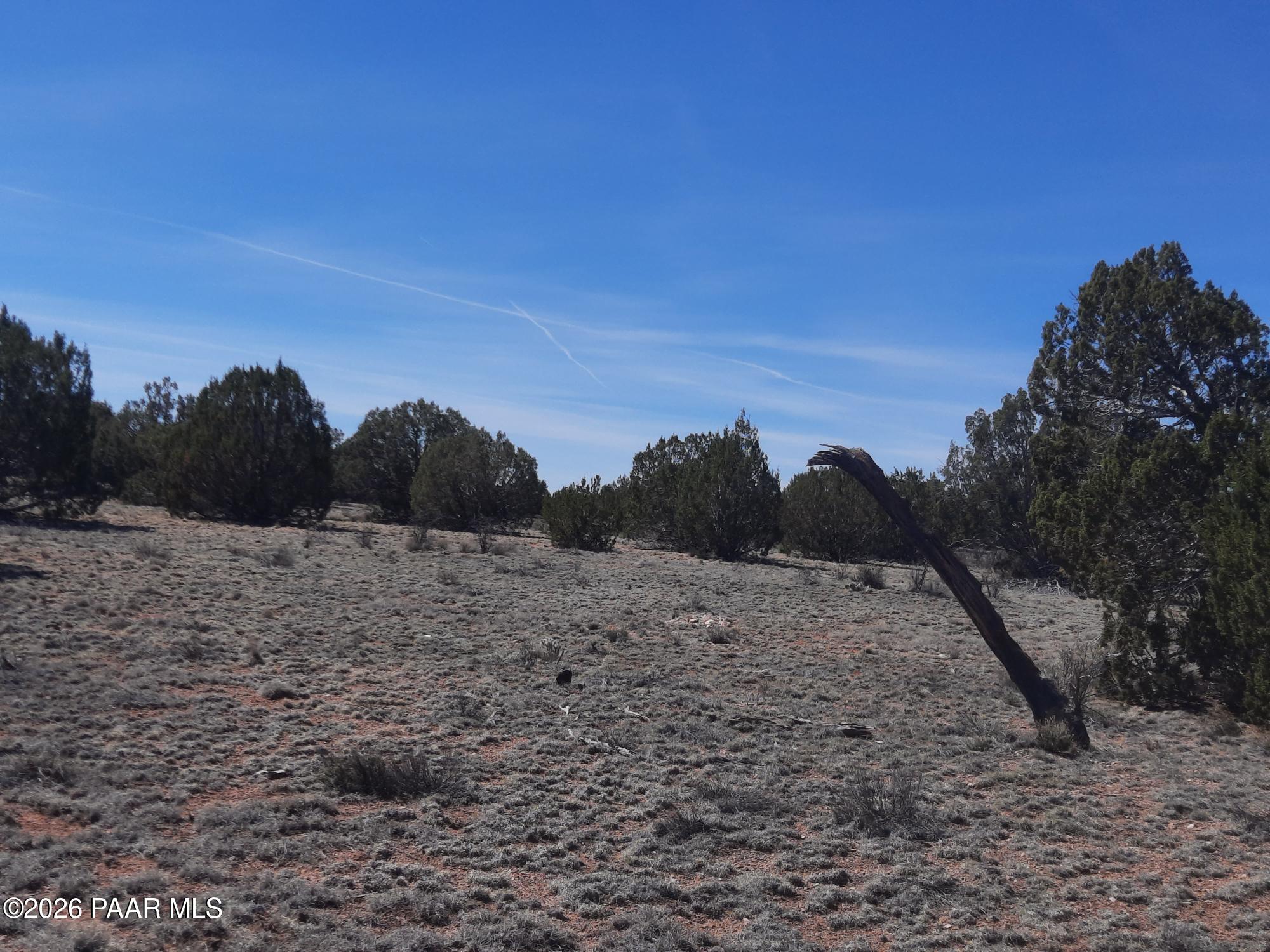 Lot 265 North Rocky Top Road Seligman, AZ 86337 - Photo 6 of 14 20260317_120802