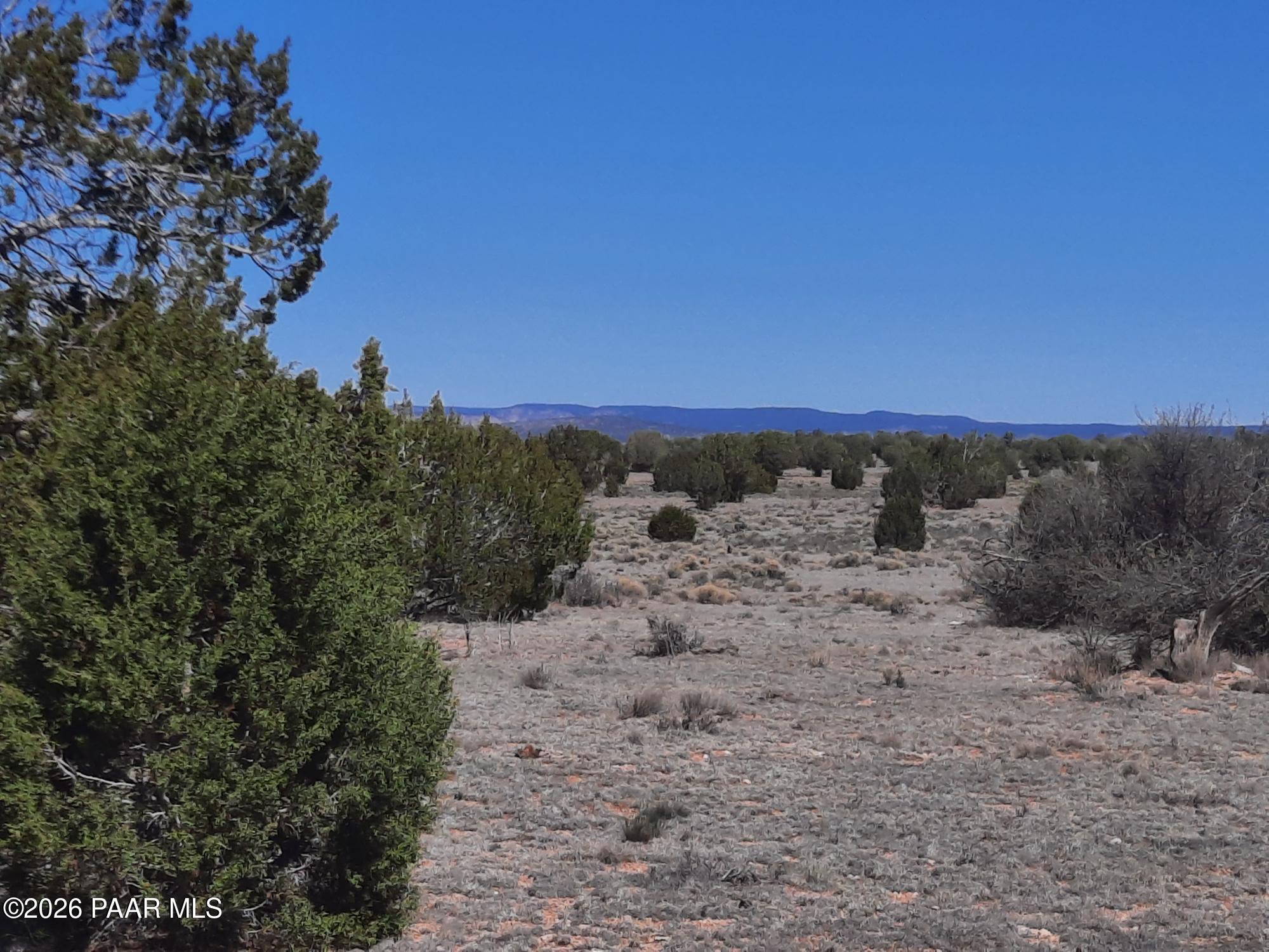Lot 265 North Rocky Top Road Seligman, AZ 86337 - Photo 8 of 14 20260317_121602