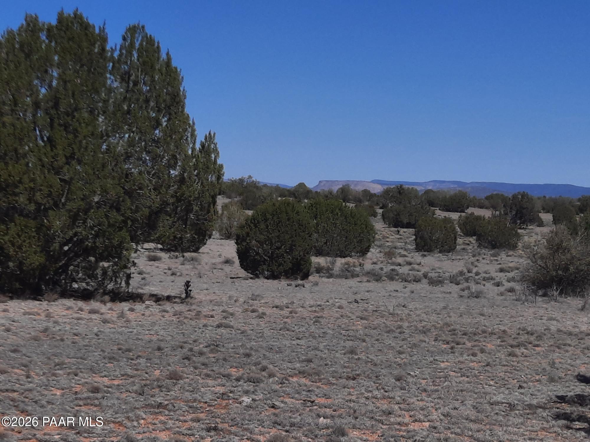 Lot 265 North Rocky Top Road Seligman, AZ 86337 - Photo 9 of 14 20260317_121641