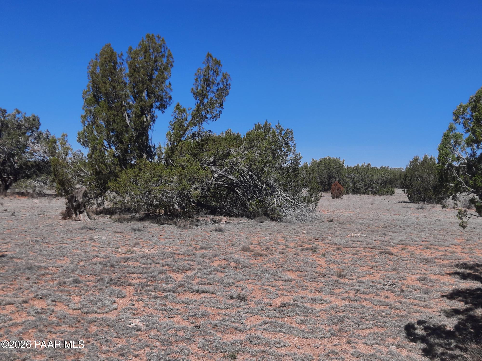 Lot 265 North Rocky Top Road Seligman, AZ 86337 - Photo 10 of 14 20260317_121807