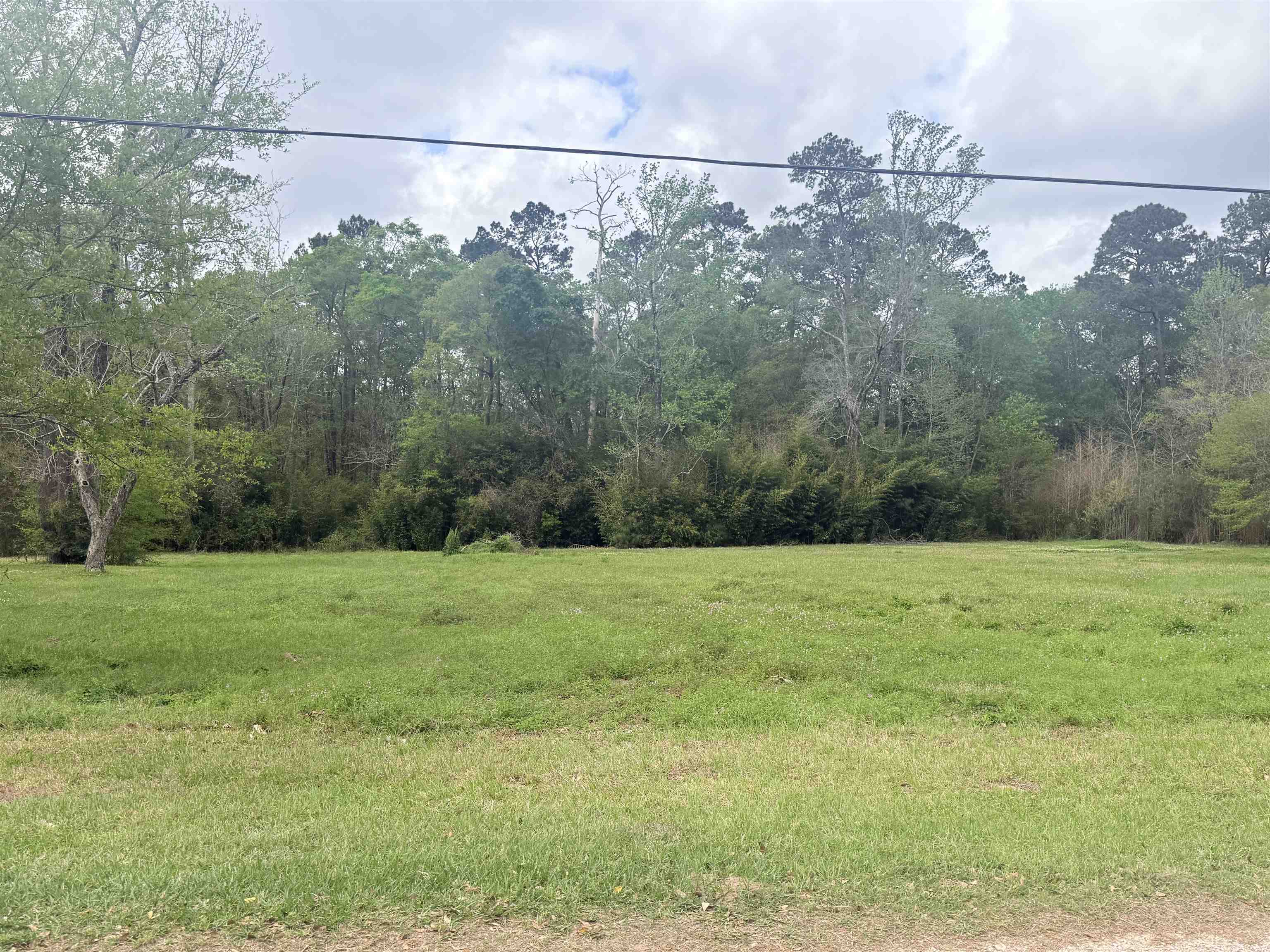 0 Frazier Street Vidor, TX 77662 - Photo 1 of 1