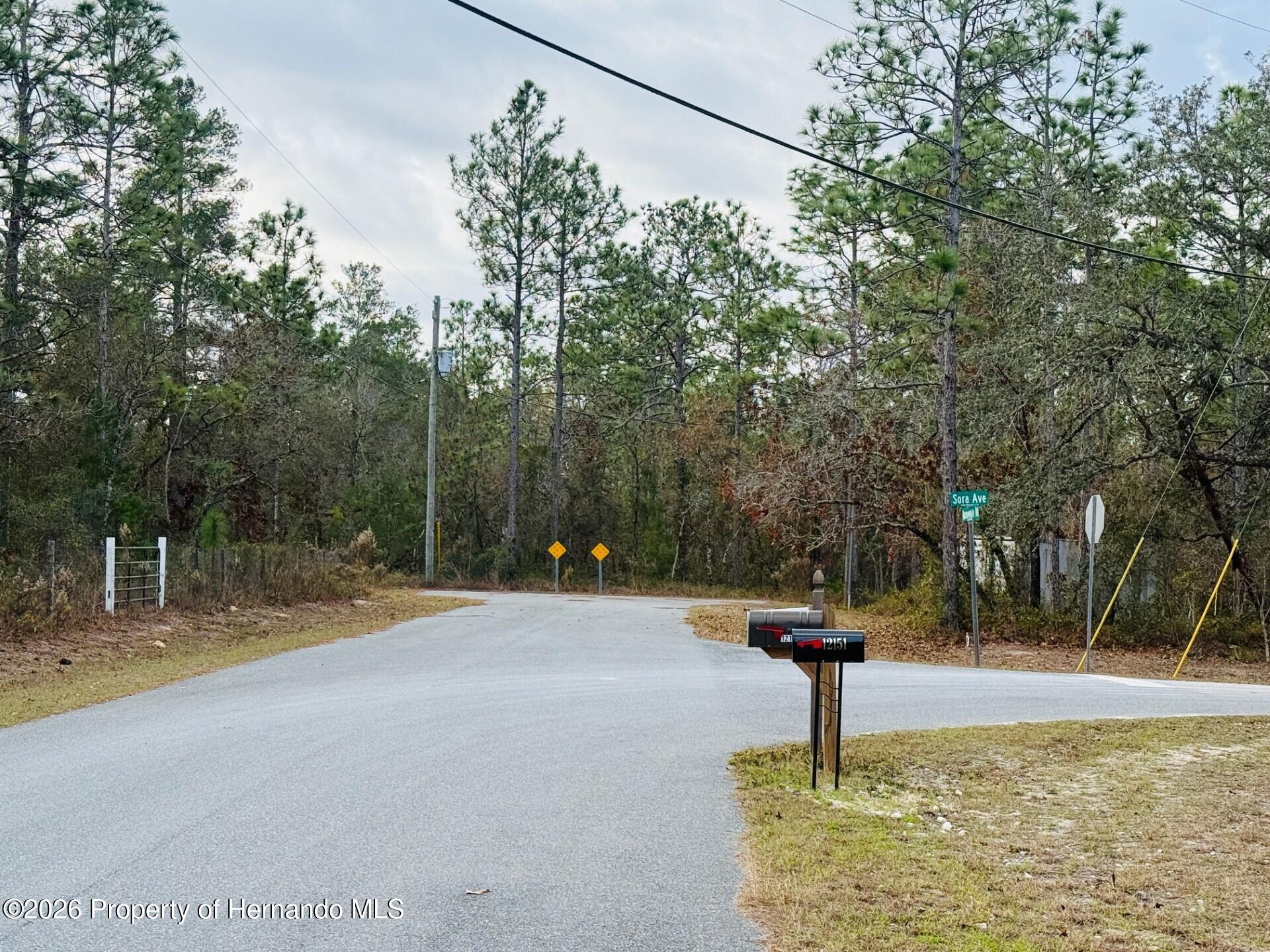 0 Barnevelde Road Weeki Wachee, FL 34614 - Photo 3 of 3 Gallery Image 3
