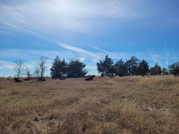 $325,000 | 2 Caney Creek Road, Chappell Hill, TX 77426