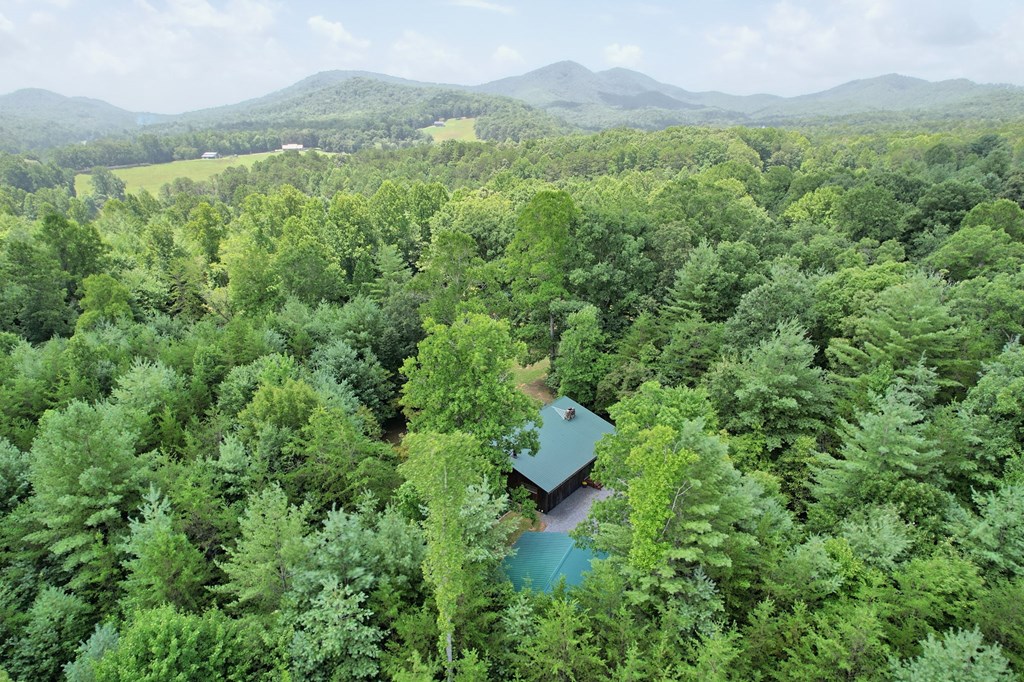 3780 Pine Log Road Warne, NC 28909 - Photo 70 of 71 Gallery Image 70