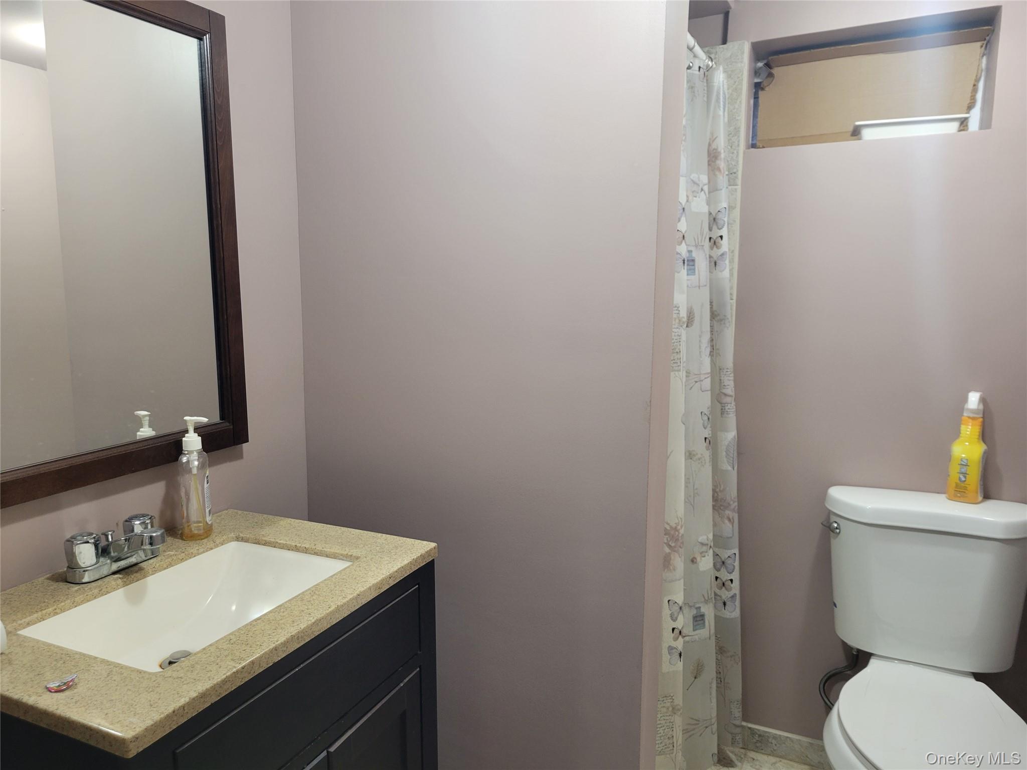 214-19 112th Road Queens, NY 11429 - Photo 10 of 19 a bathroom with a sink toilet and vanity