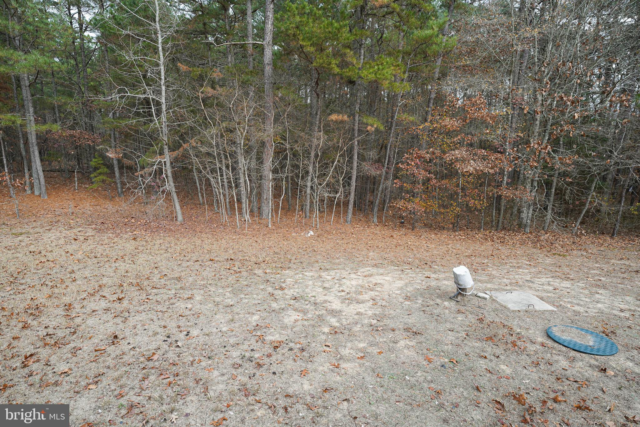 5521 Sandy Hill Road Quantico, MD 21856 - Photo 6 of 39