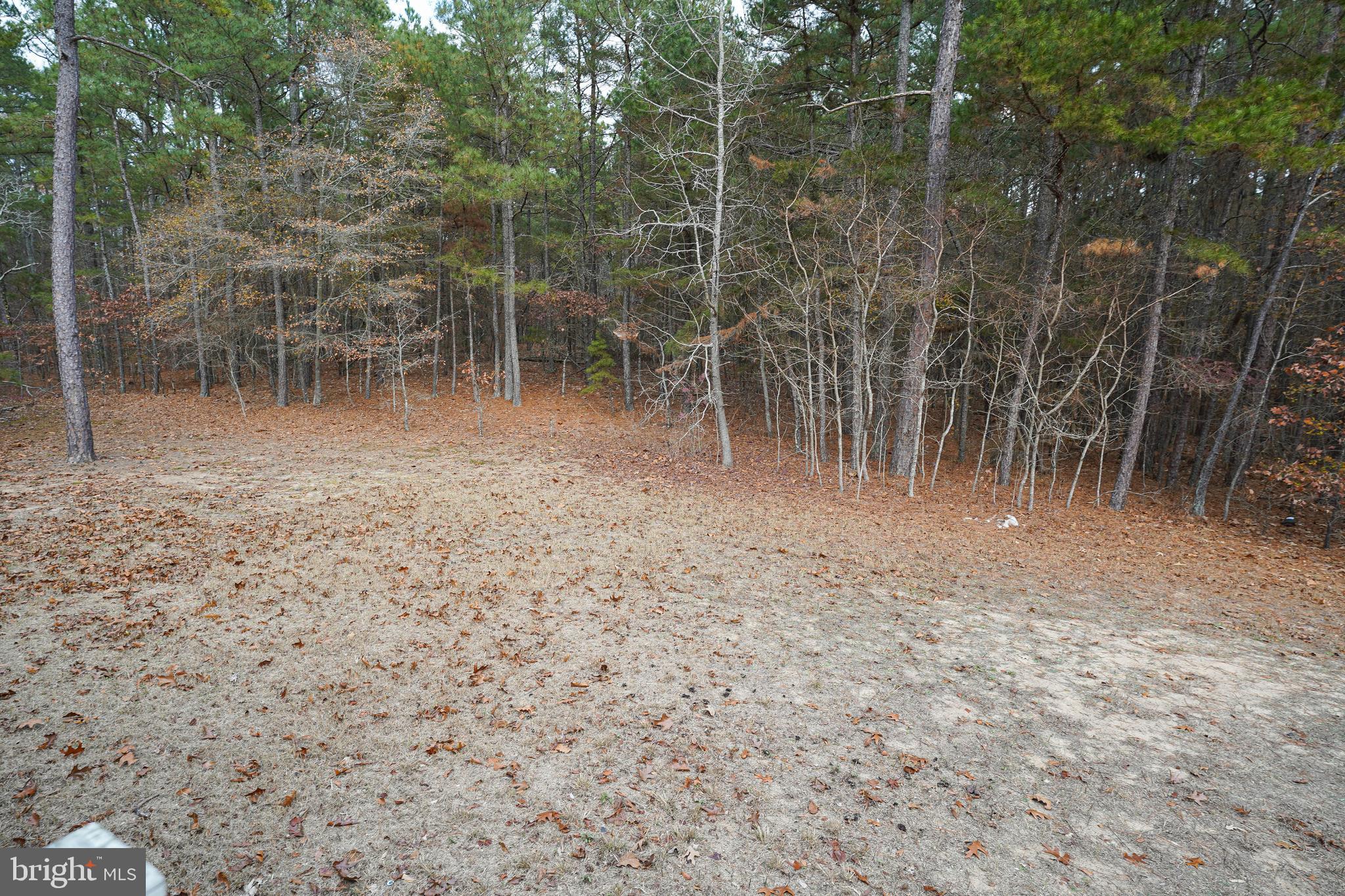 5521 Sandy Hill Road Quantico, MD 21856 - Photo 7 of 39