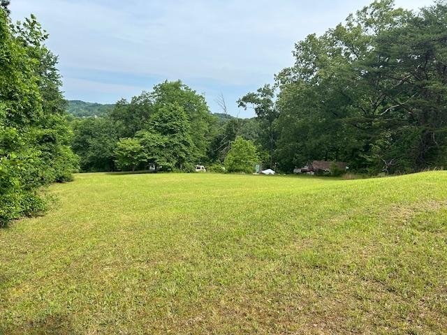 1625 New Buckley Road Ashland, KY 41102 - Photo 6 of 15