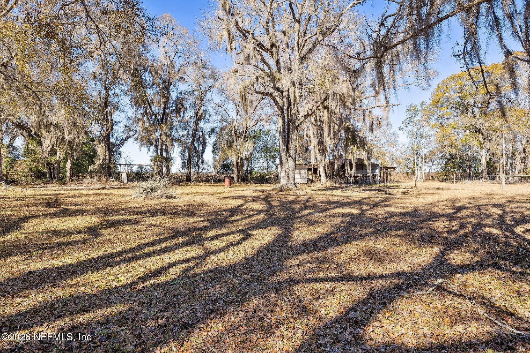 8117 Northwest County Road, Unit 225 Raiford, FL 32083 - Photo 34 of 38 a view of road with large trees