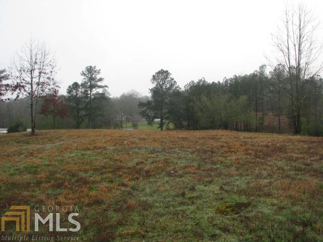 0 Spring Creek Road Trion, GA 30753 - Photo 1 of 1 Gallery Image 1