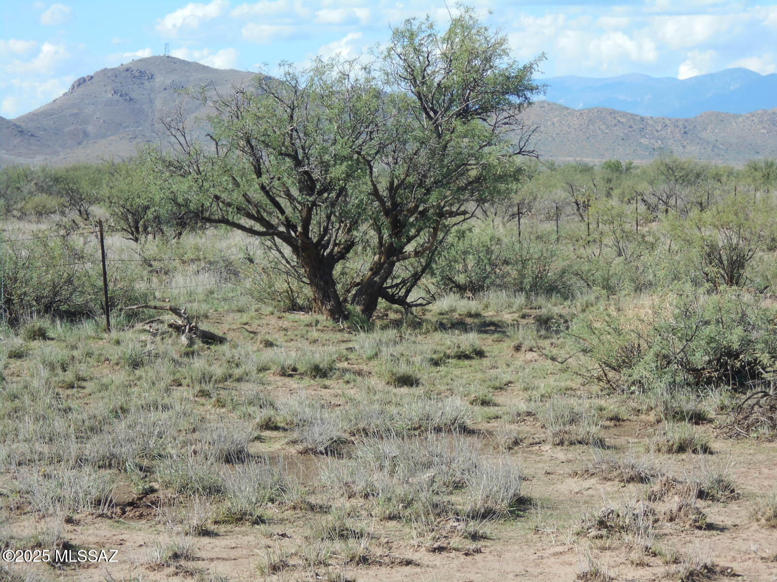 36.8-acres West Old Stewart Road, Unit 53 Willcox, AZ 85643 - Photo 10 of 42