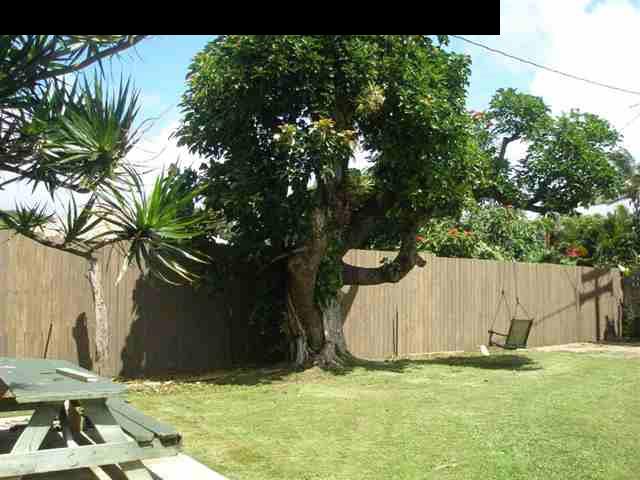 963 Haiku Road Haiku, HI 96708 - Photo 6 of 10 a view of garden