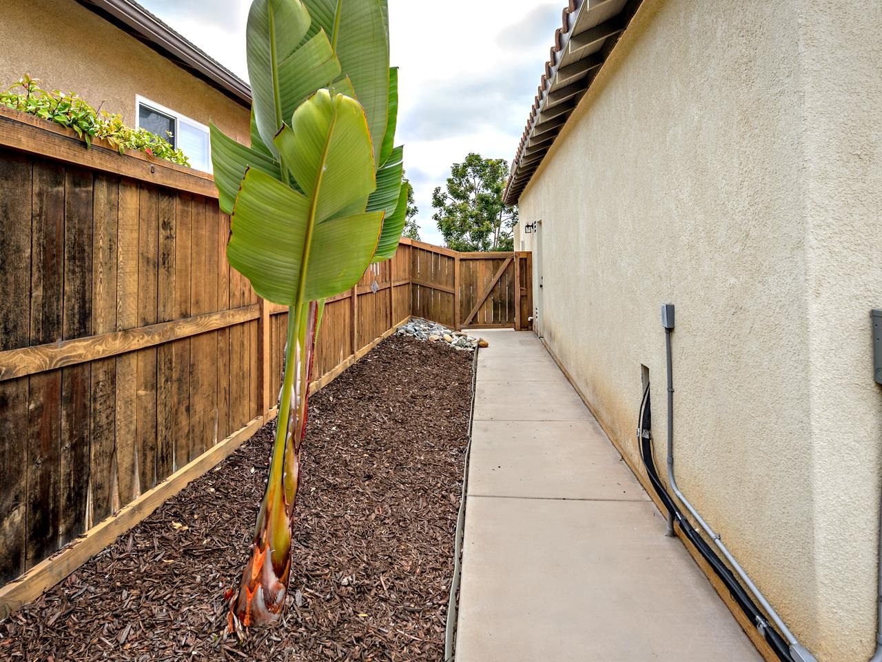 3567 Pebble Street Carlsbad, CA 92010 - Photo 25 of 25 Side Yard