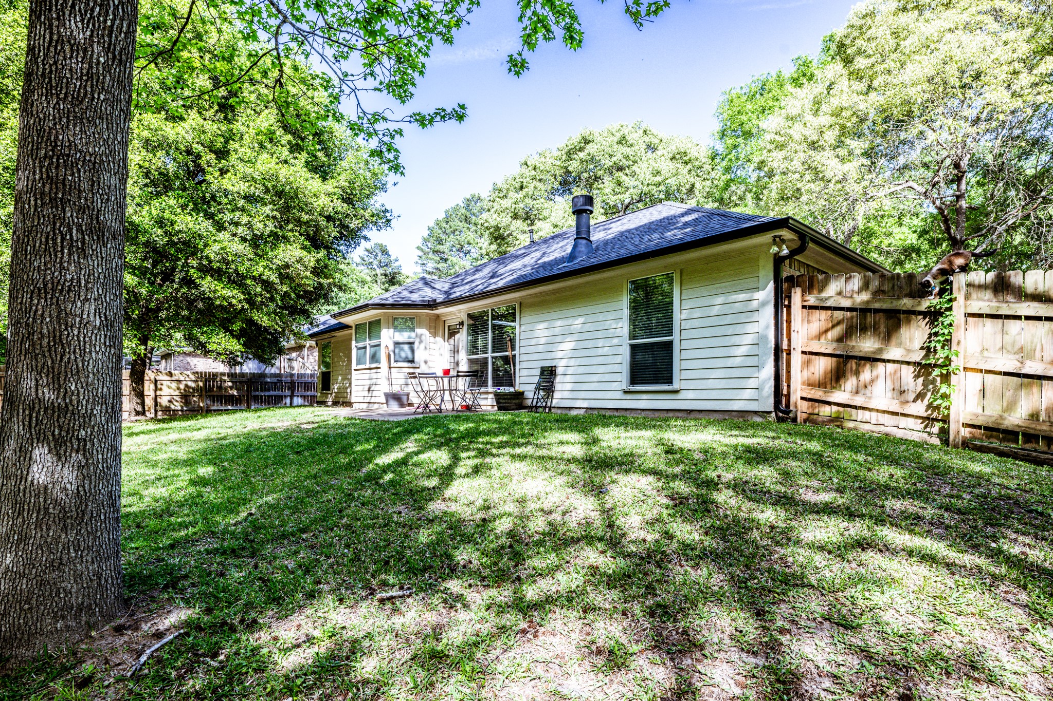 3658 Red Bud Lane Huntsville, TX 77340 - Photo 21 of 22