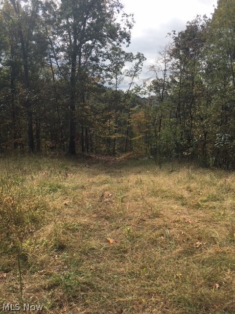 138 Locke Road St. Marys, WV 26170 - Photo 13 of 13 Riding trail