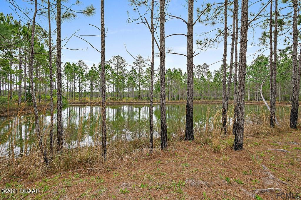 1241 Still Road Pierson, FL 32180 - Photo 5 of 57 5