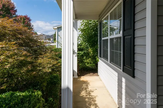 a view of a door with a tree in front of it