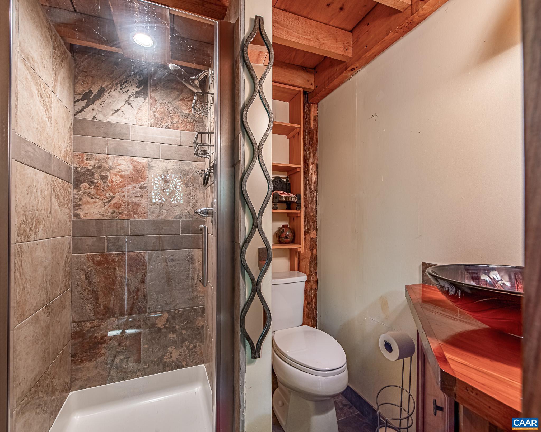 1671 Dudley Mountain Road Charlottesville, VA 22903 - Photo 33 of 60