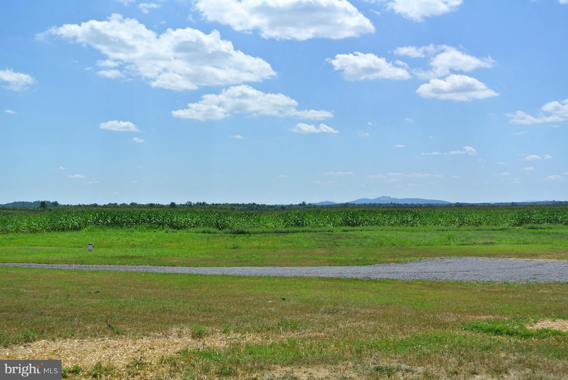 19374 Batna Road Culpeper, VA 22701 - Photo 21 of 22 Nothing but fields surround the property