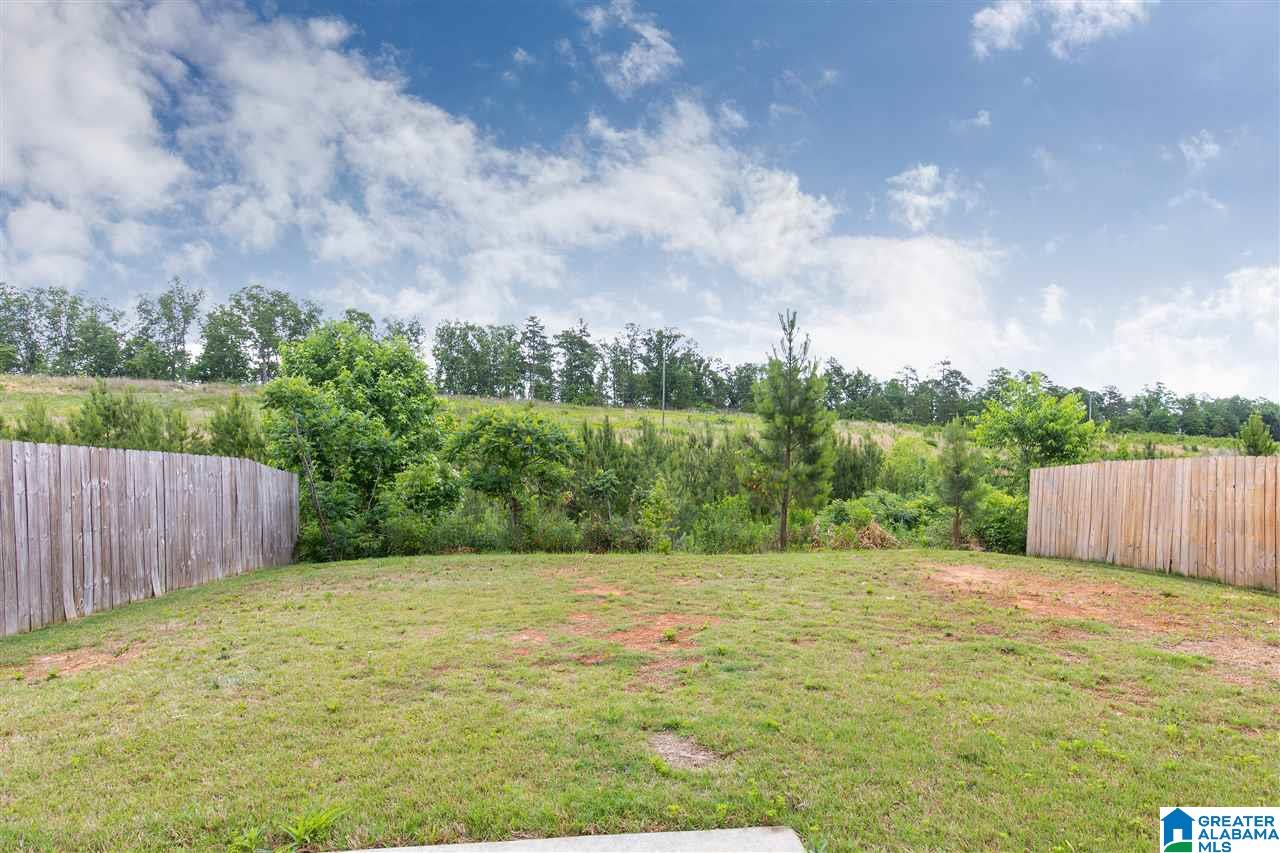 117 Village Springs Cove Springville, AL 35146 - Photo 22 of 24