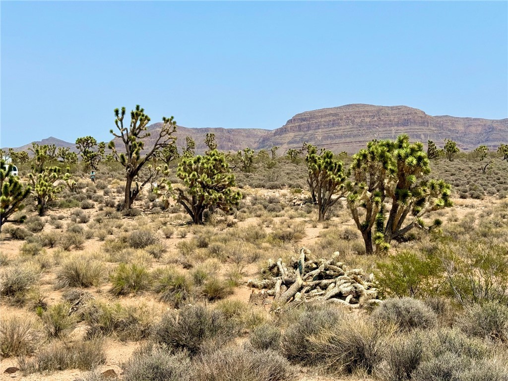 26681 Yucca Meadview, AZ 86444 - Photo 4 of 25 a view of a large body of water with a building in the background