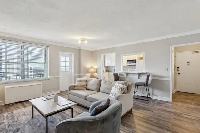 a living room with furniture and a window with wooden floor