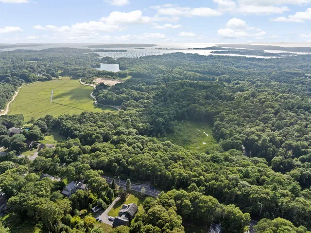 a view of a lake with a mountain