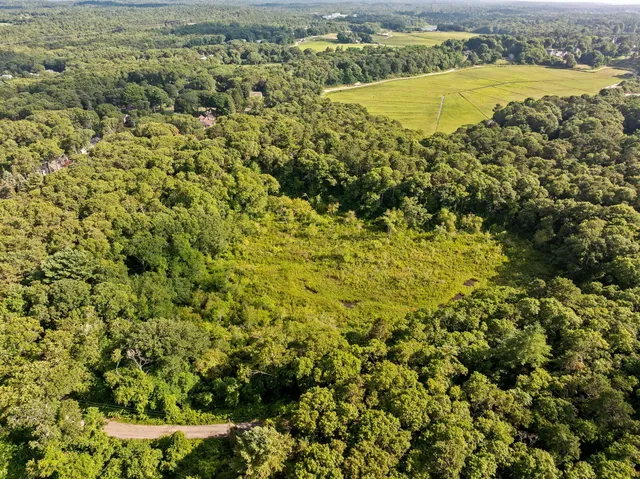 a view of a yard with an outdoor space