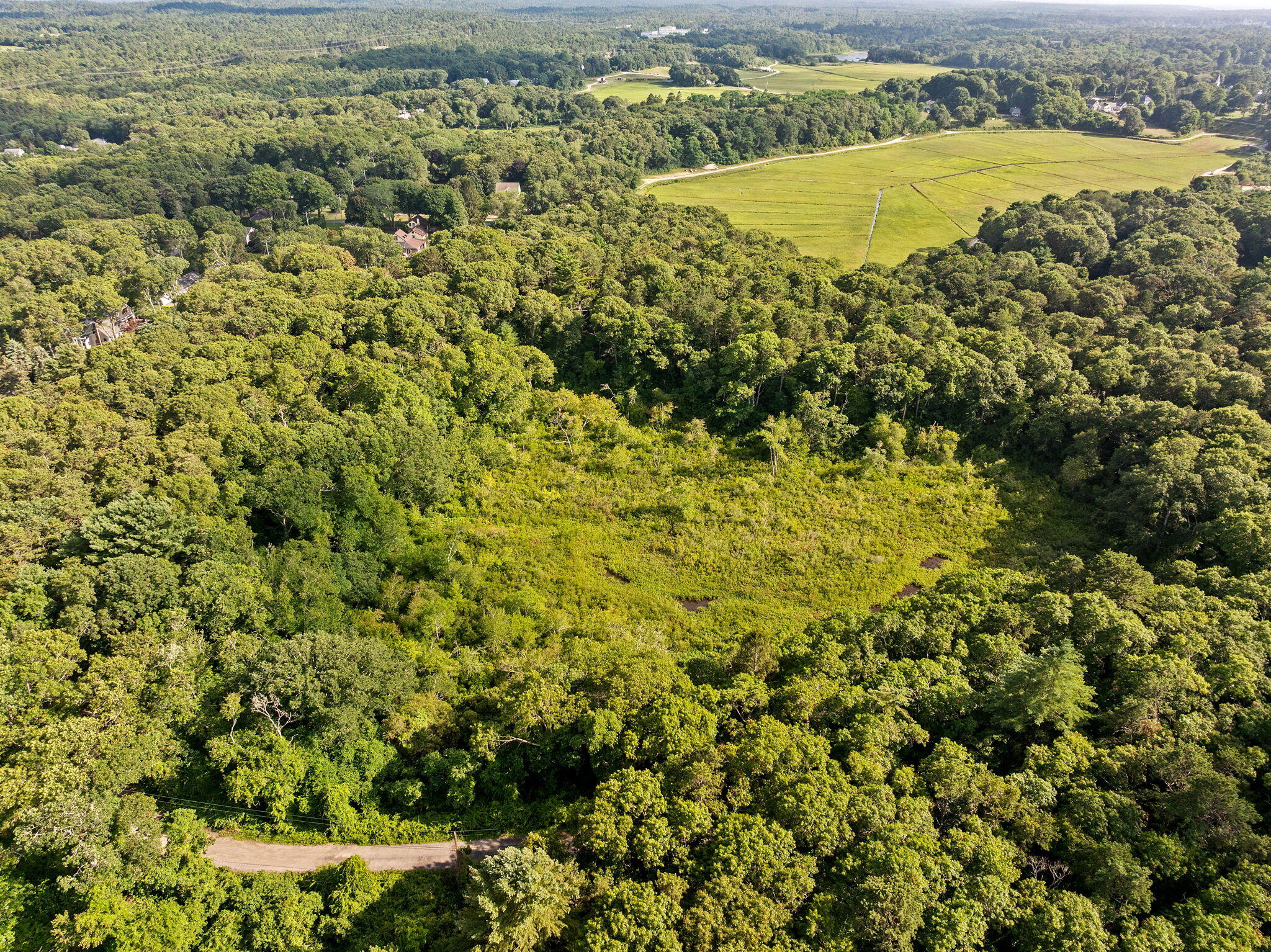 940 County Road Pocasset, MA 02559 - Photo 6 of 7 a view of a yard with an outdoor space