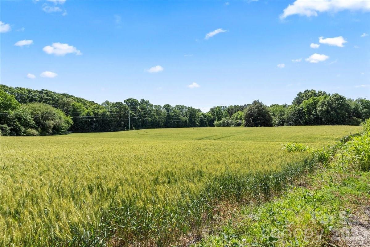 0 Secrest Short Cut Road Monroe, NC 28110 - Photo 11 of 12