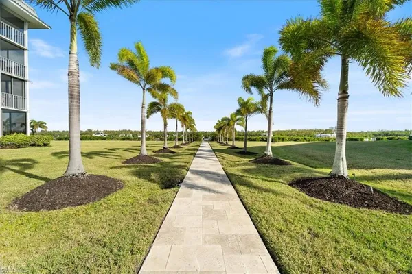 a view of a swimming pool with a garden