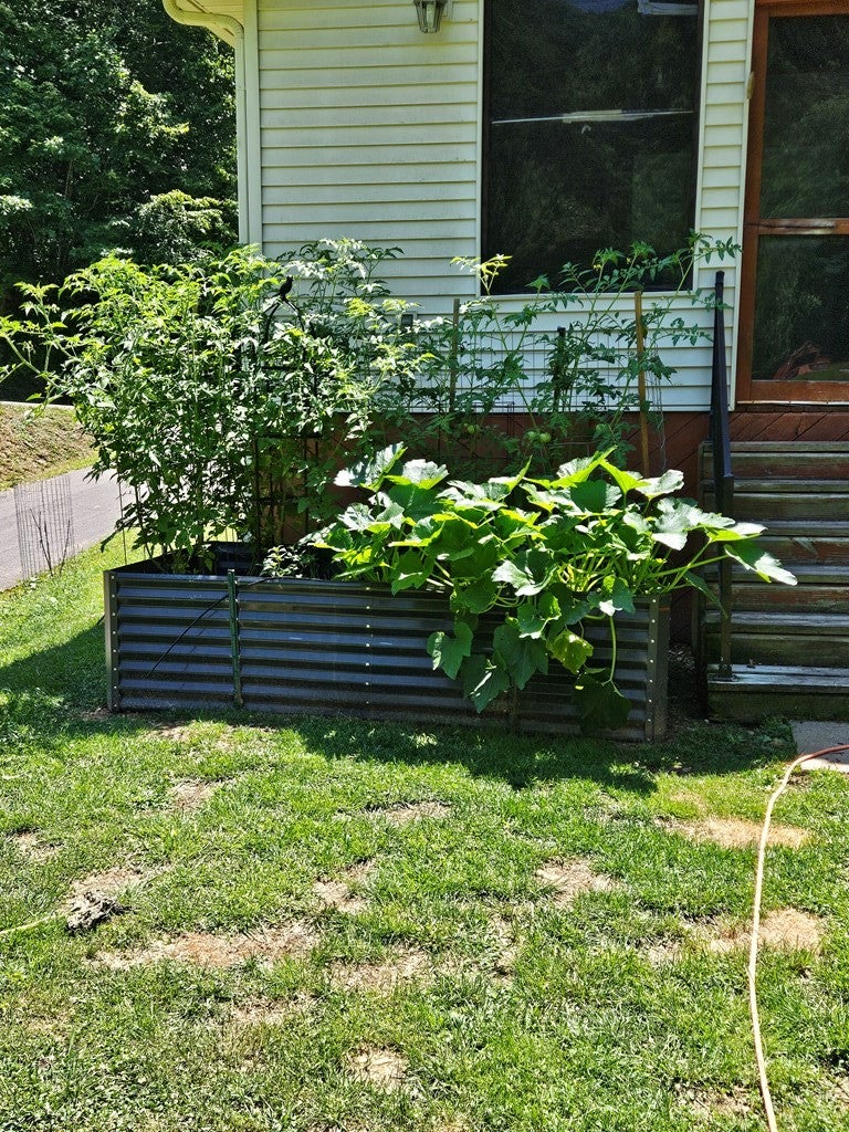 2474 Bear Branch Road Vansant, VA 24656 - Photo 20 of 27 Gallery Image 20