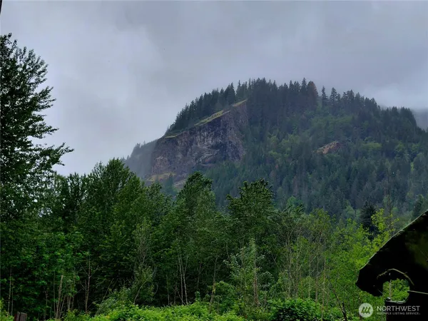 $165,000 | 0 Highway 12, Randle, WA 98377