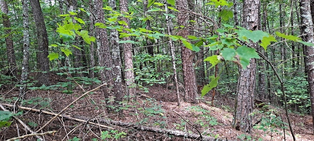 6.02-ac River Hill Road Murphy, NC 28906 - Photo 12 of 14 Gallery Image 12