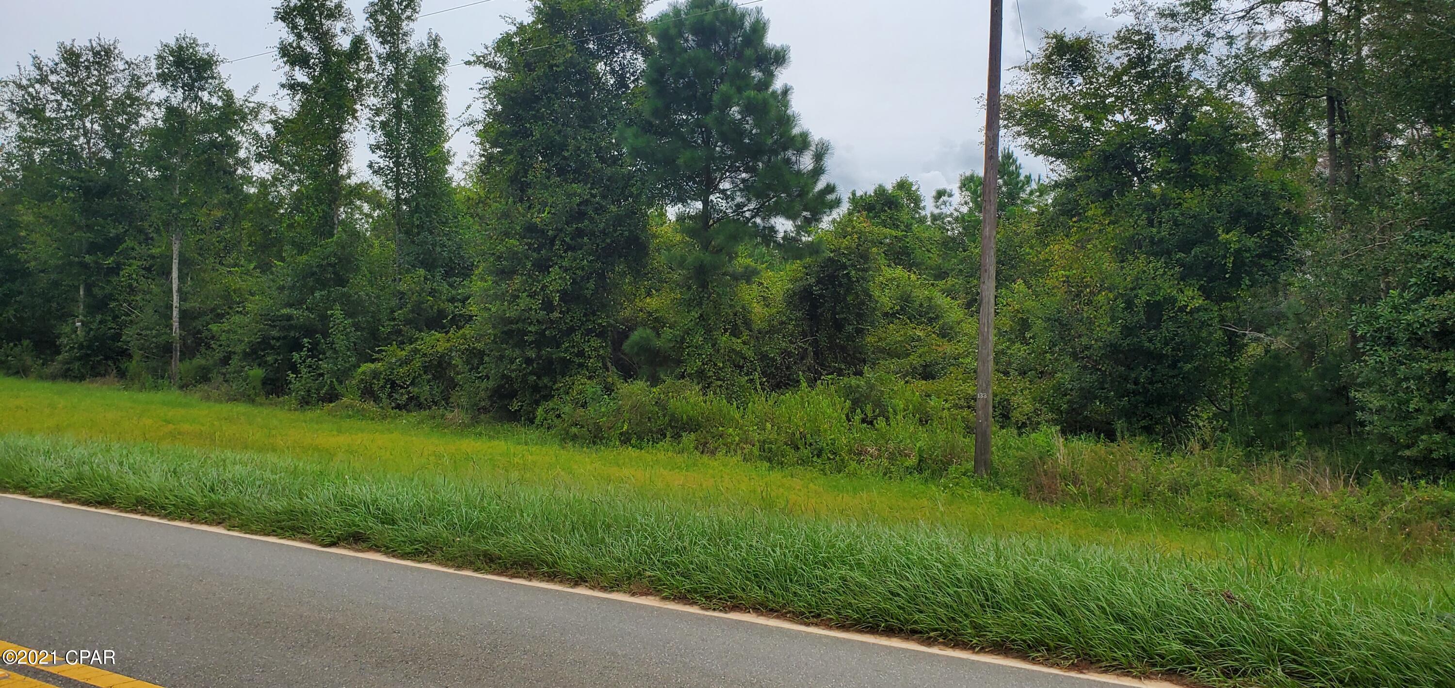 0 Stone Road Grand Ridge, FL 32442 - Photo 1 of 11 Gallery Image 1