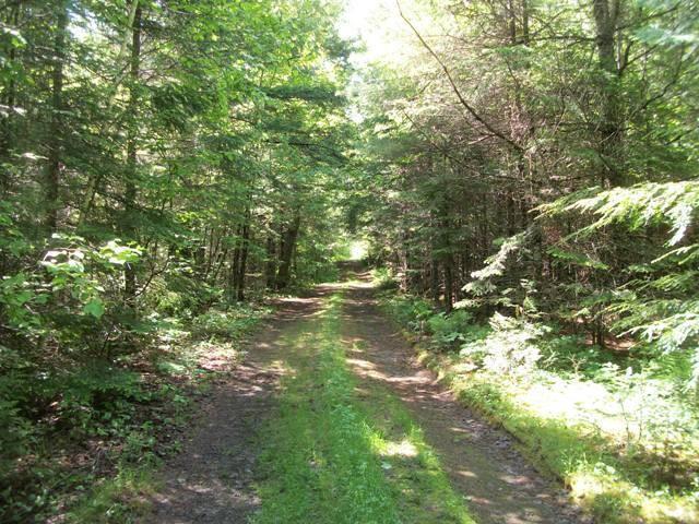 2 Woodman Mill Road Lowell, ME 04493 - Photo 3 of 6 Photo