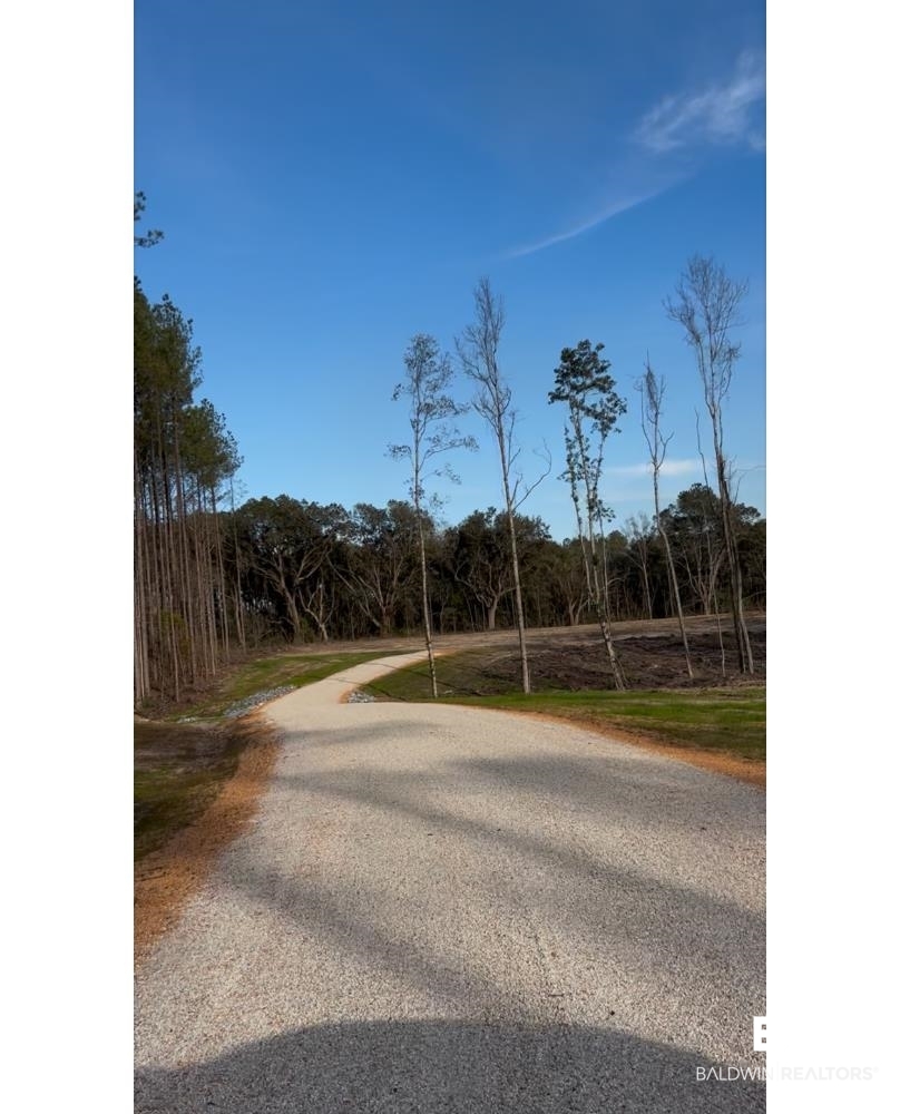 0 Kirkland Road Brewton, AL 36426 - Photo 7 of 10 View of road