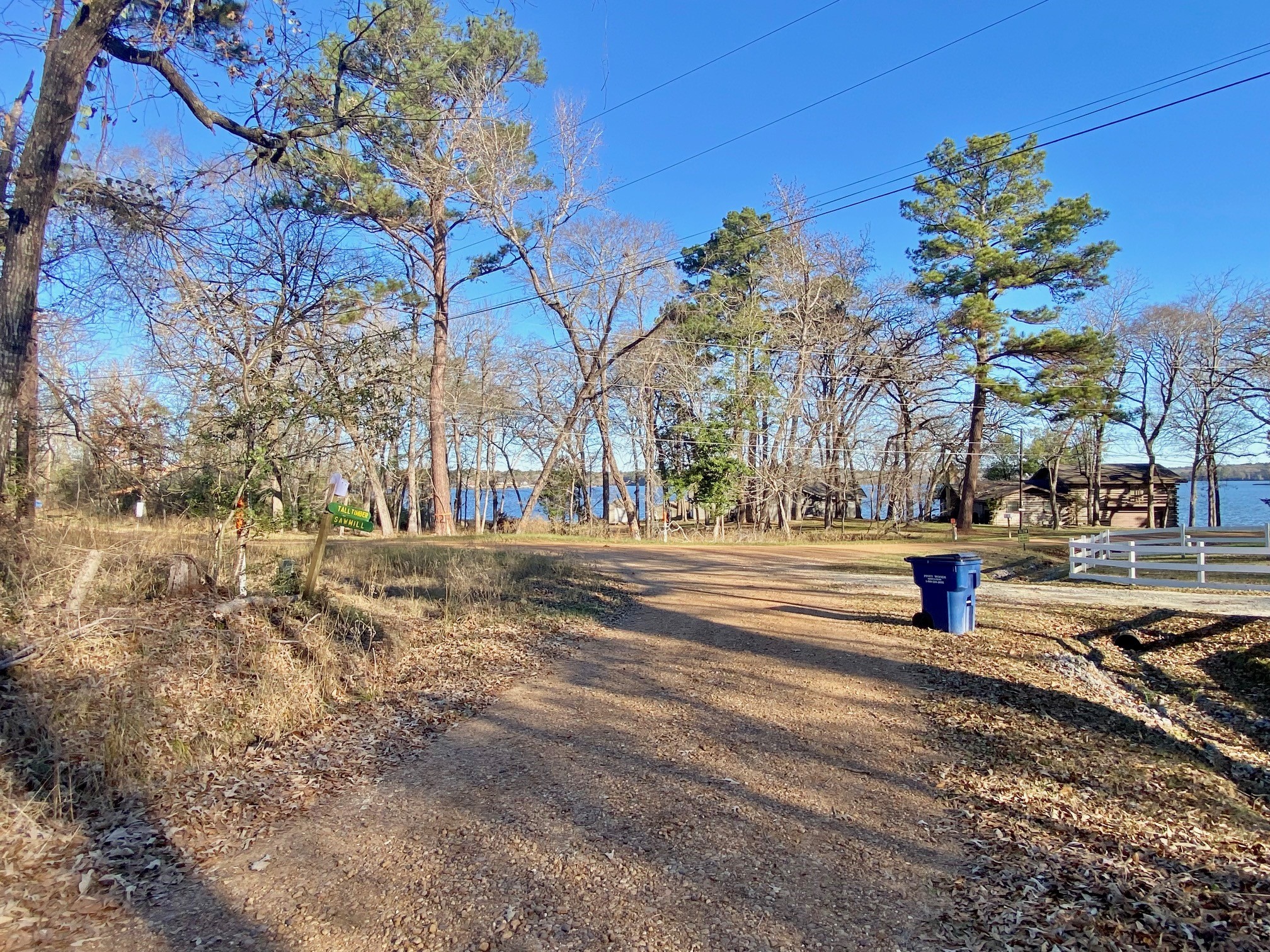 Lot #9 Tall Timber Road Crockett, TX 75835 - Photo 12 of 15 a park view with large trees