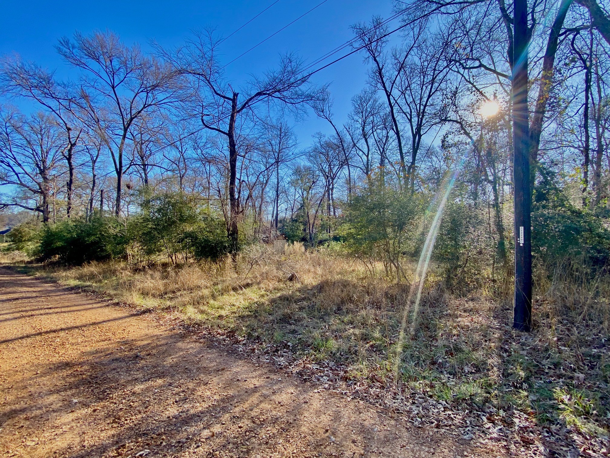 Lot #9 Tall Timber Road Crockett, TX 75835 - Photo 3 of 15 a backyard of a house with lots of green space