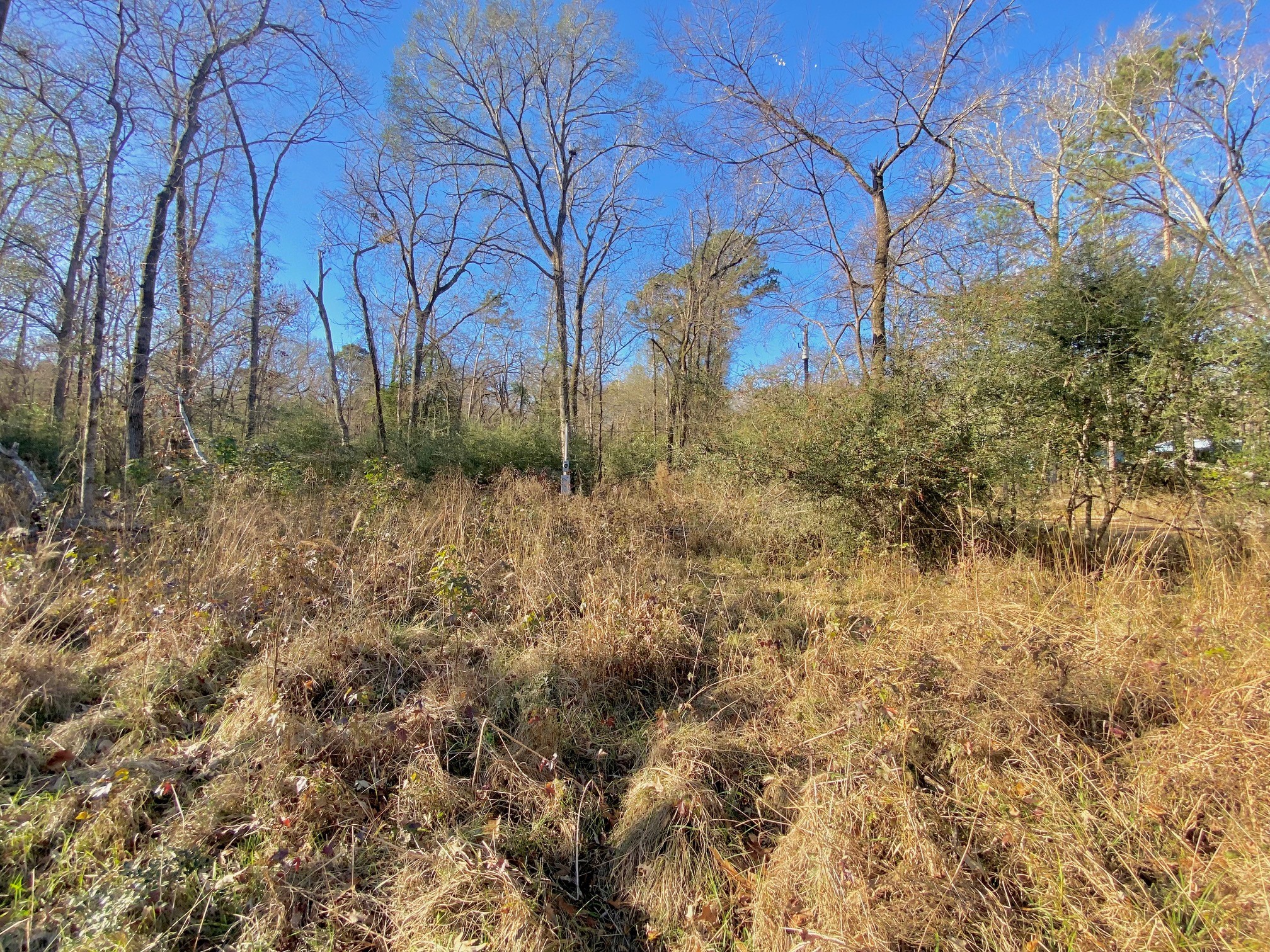 Lot #9 Tall Timber Road Crockett, TX 75835 - Photo 7 of 15 a view of a yard
