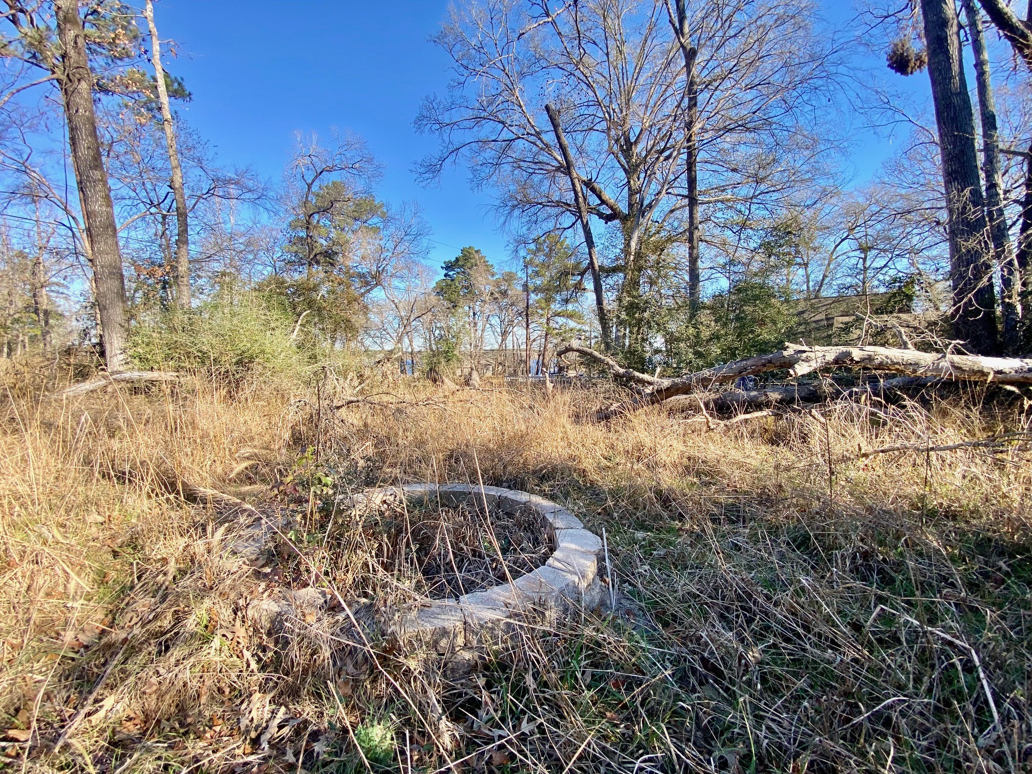 Lot #9 Tall Timber Road Crockett, TX 75835 - Photo 9 of 15 a view of a yard with large trees