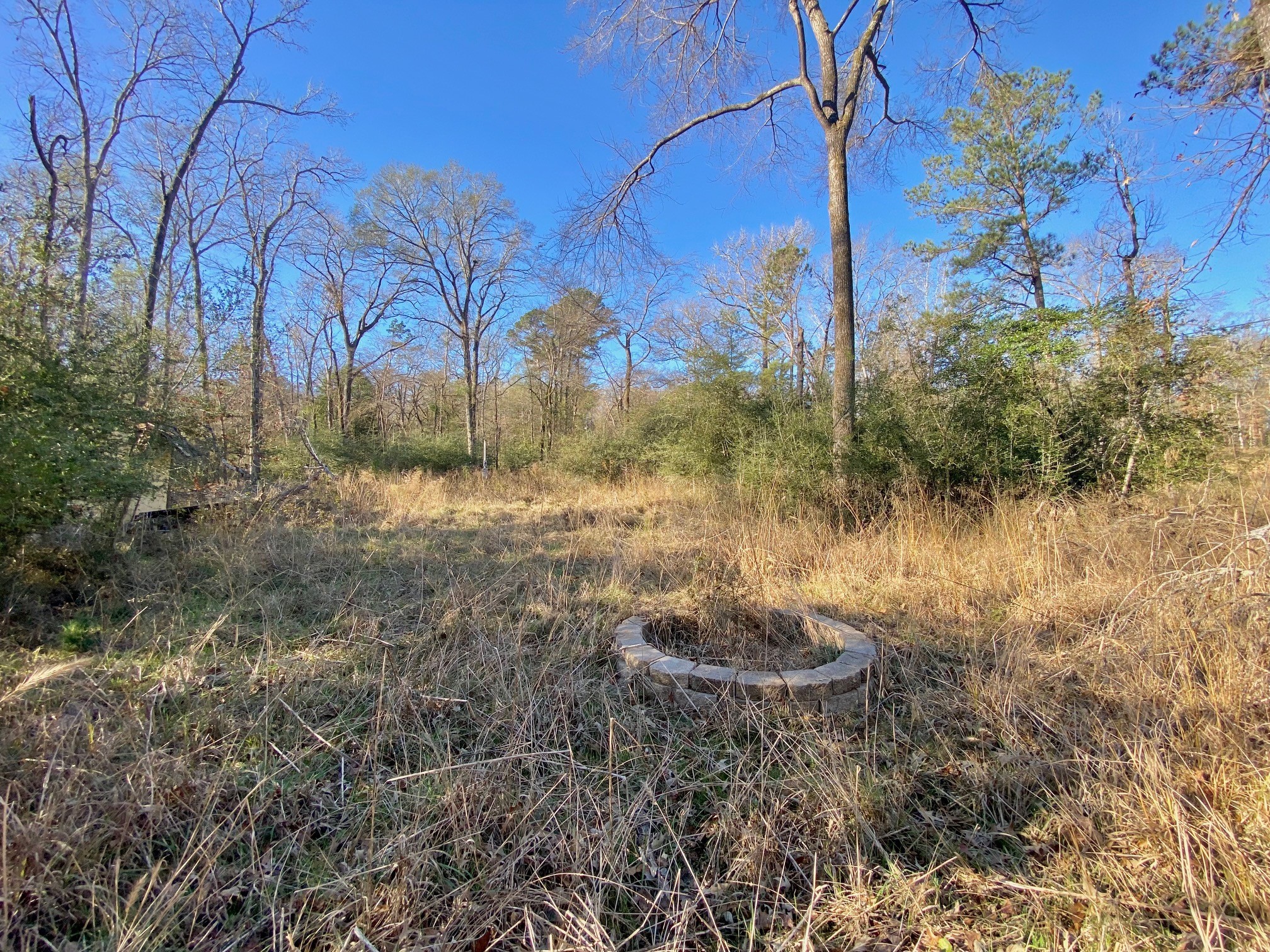Lot #9 Tall Timber Road Crockett, TX 75835 - Photo 10 of 15 a view of a yard