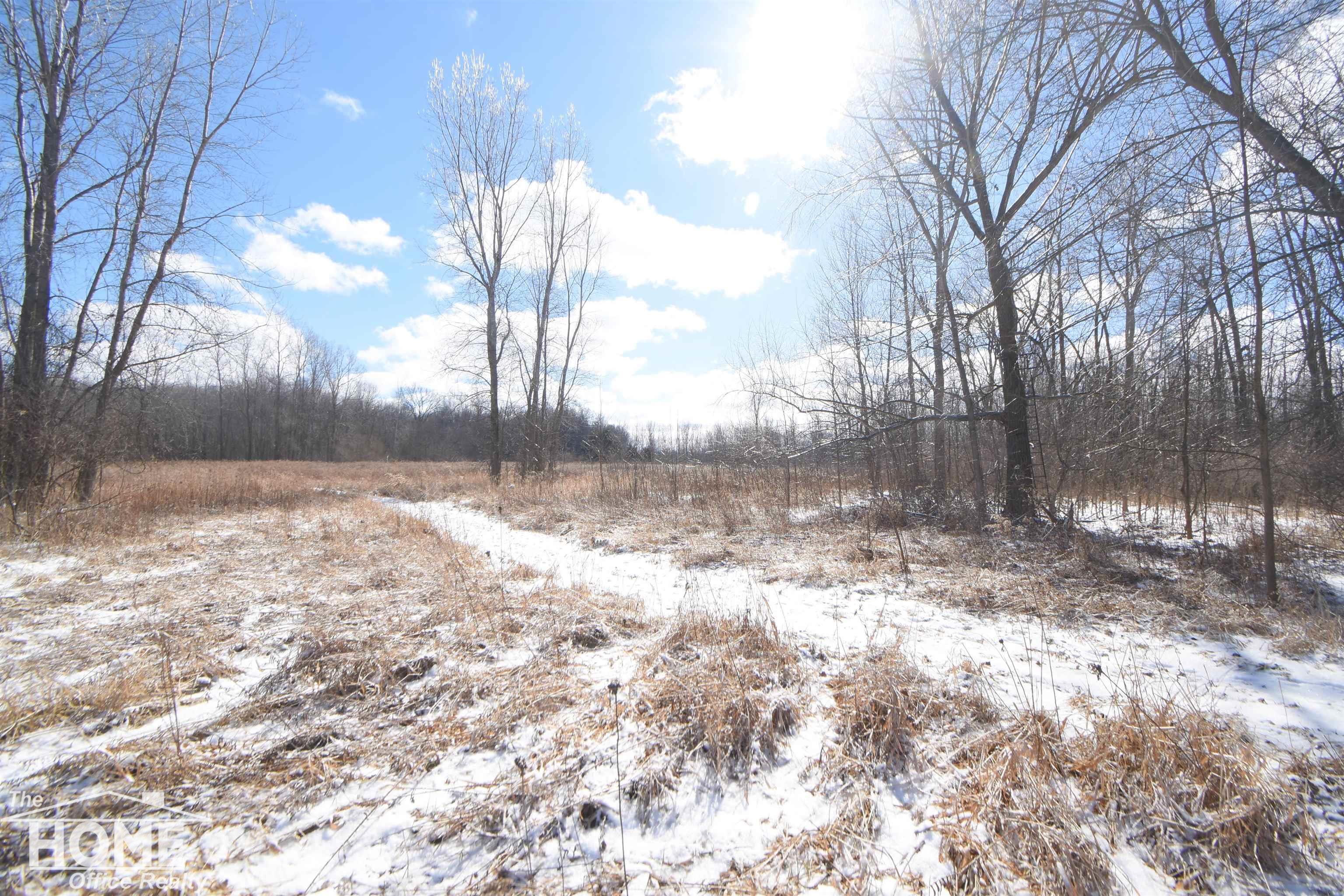 Vac Cork Road Bancroft, MI 48414 - Photo 27 of 46