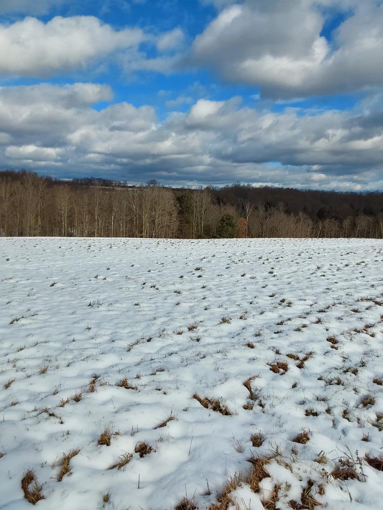 0 Starr Road Campbell, NY 14821 - Photo 1 of 1