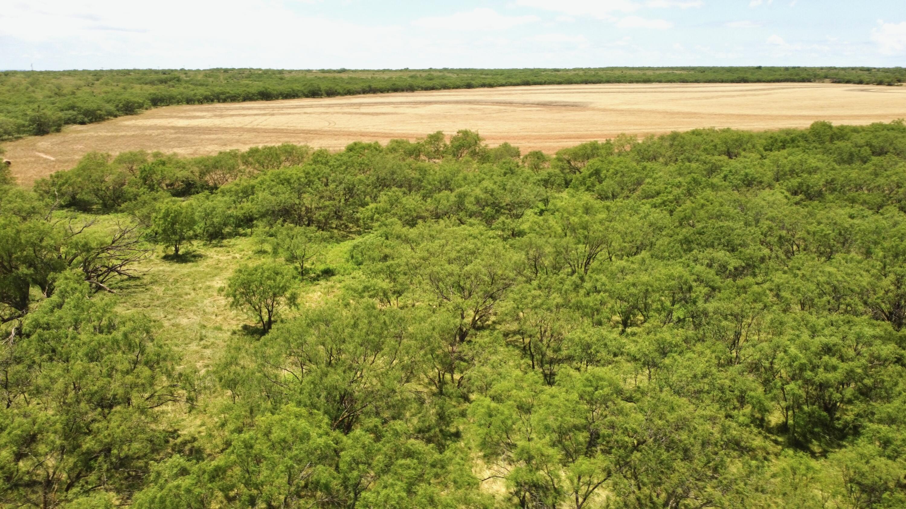 1818 County Road 267 Ballinger, TX 76821 - Photo 30 of 70 DJI_0312
