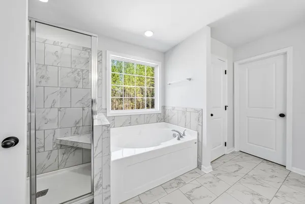 a bathroom with a shower and a bathtub