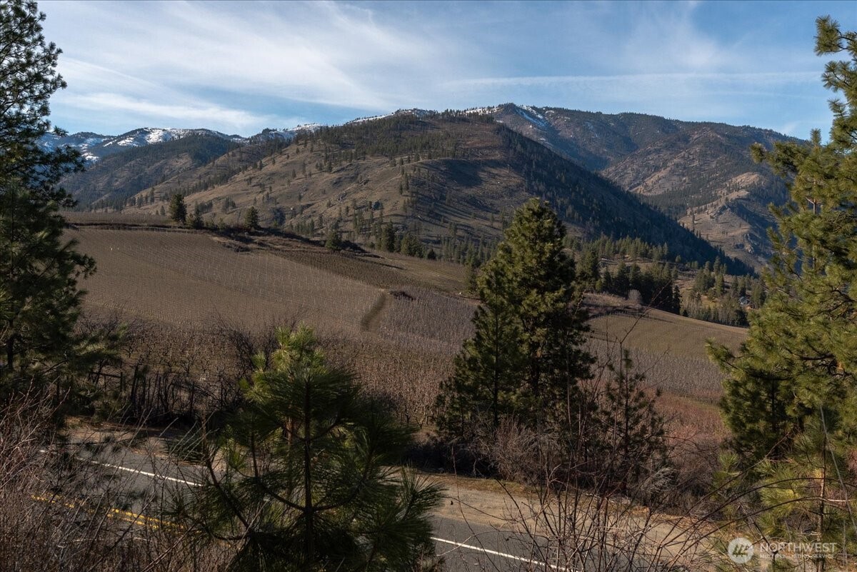 990 Upper Ridge Road Chelan, WA 98816 - Photo 26 of 37