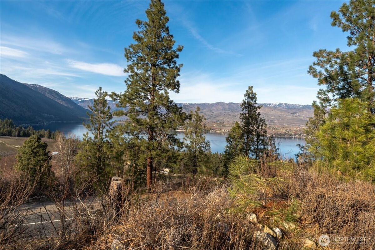 990 Upper Ridge Road Chelan, WA 98816 - Photo 33 of 37