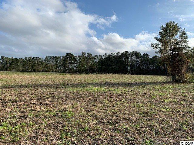 1158 Chair Factory Road Nakina, NC 28455 - Photo 22 of 23